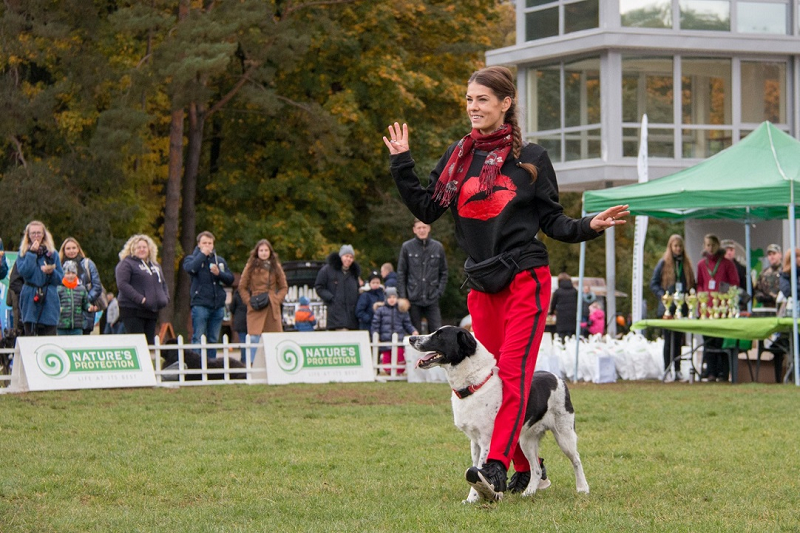 WonderDog šunų akademijos įkūrėjos įžvalgos ir patarimai renkantis šunį 